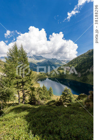 Adamello with Camp Lake - Trento Italy Adamello with Camp Lake - Trento Italy 38188296