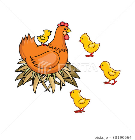 vector flat hand drawn chicken in nest, chicks set 38190664
