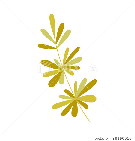 Vector flat abstract green plant icon 38190916