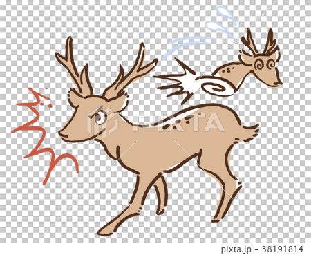 鹿 戦う 逃げる イメージのイラスト素材