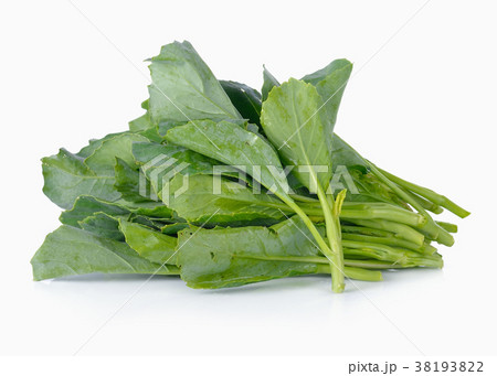 Chinese kale vegetable isolated on white Chinese kale vegetable isolated on white 38193822