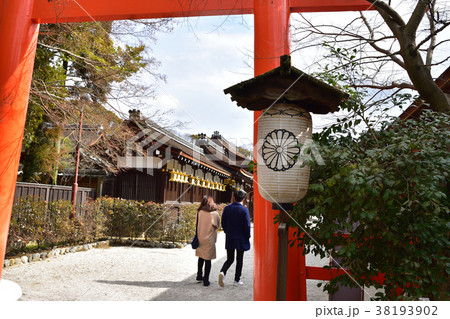 カップルと下鴨神社 38193902