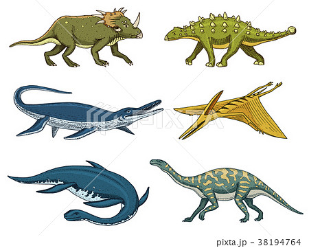 Dinosaurs Elasmosaurus, Mosasaurus, Barosaurus Dinosaurs Elasmosaurus, Mosasaurus, Barosaurus 38194764