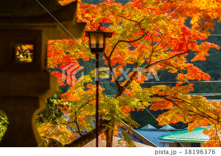 大窪寺 紅葉 秋の写真素材