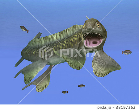 Prehistoric shark Orthacanthus 38197362