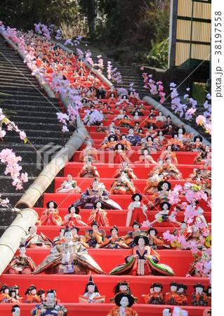 伊東MAGARI雛祭り 伊東MAGARI雛祭り 38197558