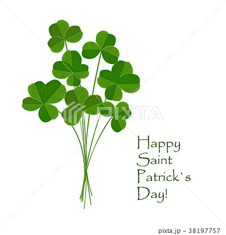 Green clover bouquet on white background 38197757