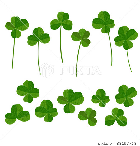 Clover leaves set, quarterfoil and trefoil 38197758