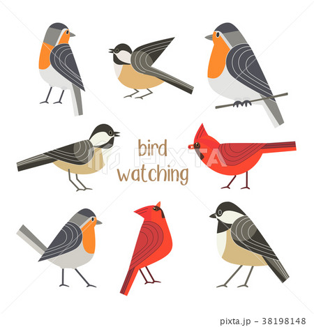 Bird feeding poster Bird feeding poster 38198148