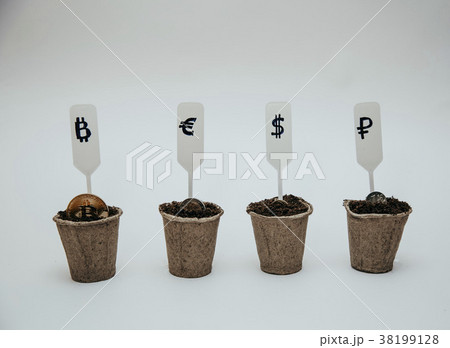 different currency in pots for seedlings 38199128