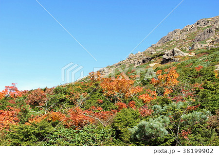 秋の早池峰山の登山道 38199902