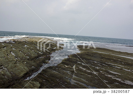 仁江海岸 仁江海岸 38200587