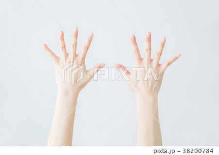 【切抜パス付き】手の甲 【切抜パス付き】手の甲 38200784