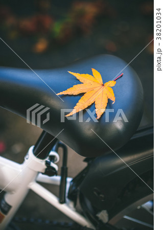 紅葉と自転車のサドル 38201034