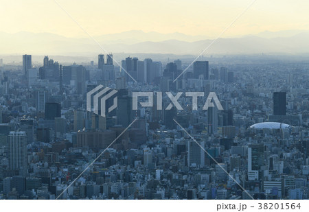 日本の東京都市風景（新宿などの超高層ビル群をの望む） 38201564