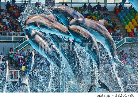 大ジャンプ！　１ 38201736