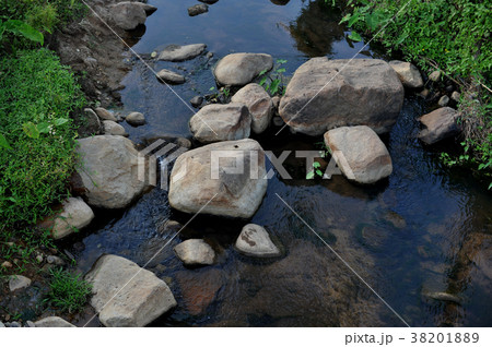 Mountain stream forest Mountain stream forest 38201889