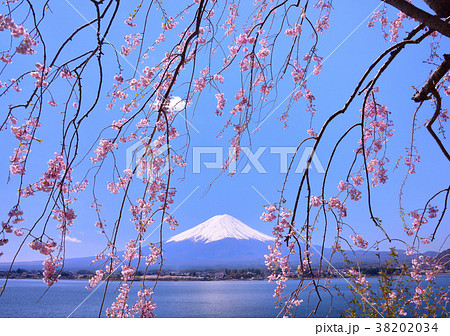 河口湖畔からの春の風景-777404 河口湖畔からの春の風景-777404 38202034