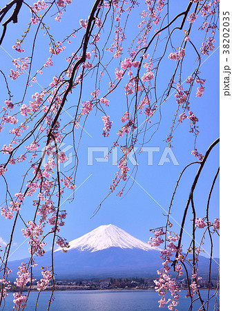河口湖畔からの春の風景-777405 河口湖畔からの春の風景-777405 38202035