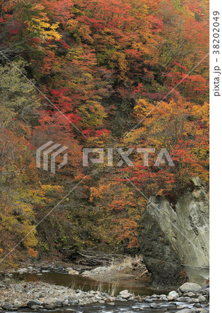 紅葉の獅子狭間 38202049