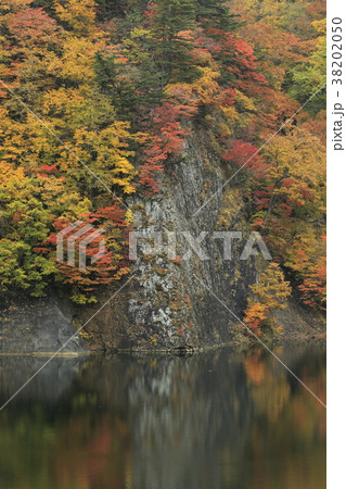 紅葉の駒ヶ岳ダム 38202050