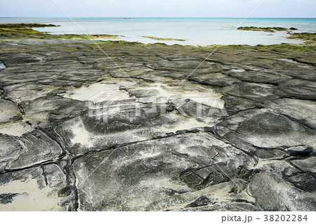 沖縄県久米島・畳岩 沖縄県久米島・畳岩 38202284