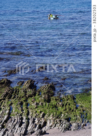 千葉県鋸南町勝山の伝統漁法 38202503