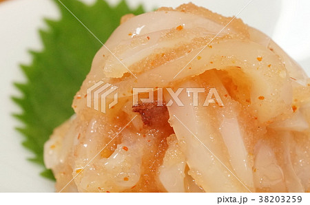 いかめんたい拡大写真 いかめんたい拡大写真 38203259