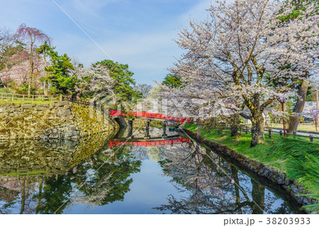 春の弘前城の風景 春の弘前城の風景 38203933