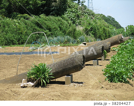 柏市に残る秋水燃料貯蔵庫跡（ヒューム管） 38204427