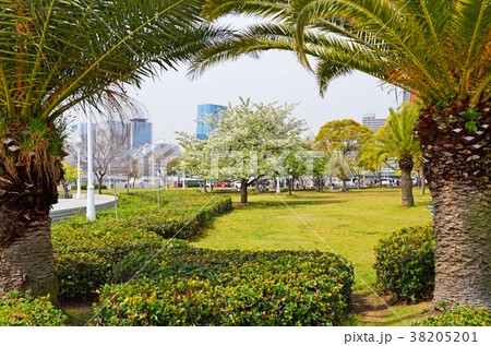 神戸港の風景 38205201