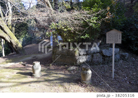 弘川寺　似雲墓 38205316