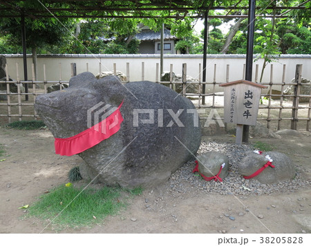 葛飾区の南蔵院にある出世牛 38205828