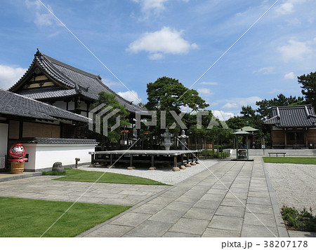 葛飾区の南蔵院 38207178