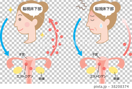 Menopause Obesity Stock Illustration 3074