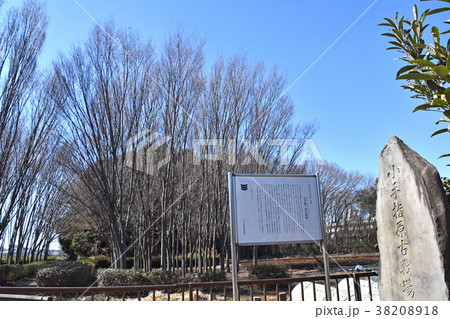 小手指ヶ原古戦場 小手指ヶ原古戦場 38208918