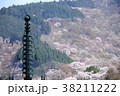 吉野山　桜 38211222