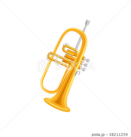 Golden trumpet in flat style. Large brass wind 38211259