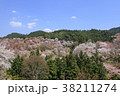 吉野山　桜 38211274