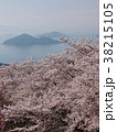 紫雲出山の桜 38215105