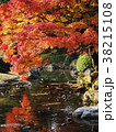 栗林公園の紅葉 38215108
