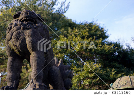 上野恩賜公園東照宮狛犬 38215166
