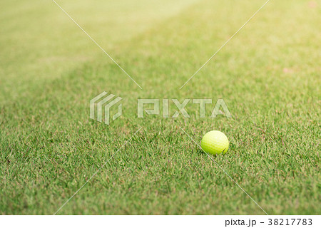 Golf ball on green grass Golf ball on green grass 38217783