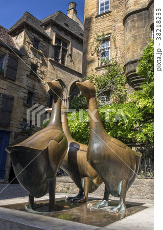 Foie Gras - Dordogne - France 38218233