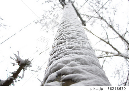 拉拉山 雪景 銀世界 38218630