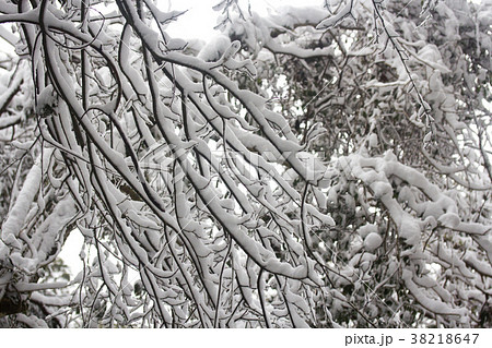 拉拉山 雪景 銀世界 38218647
