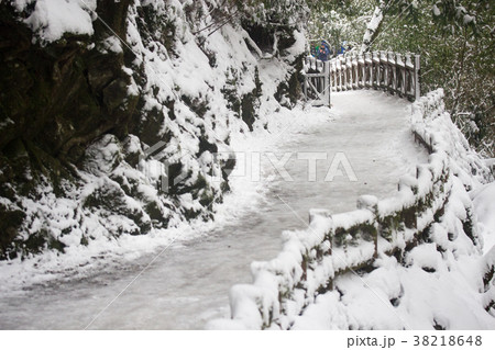 拉拉山 雪景 銀世界 38218648