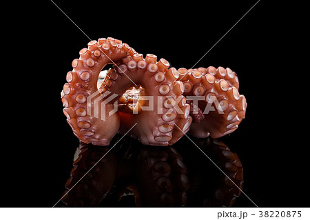 Baby octopus over black background. 38220875