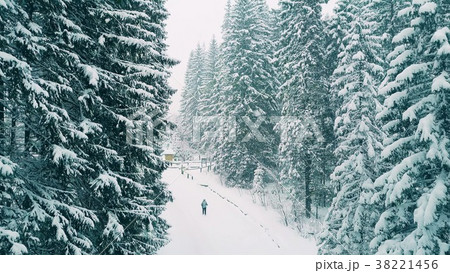 Aerial shot of a person hiking in forest in the 38221456