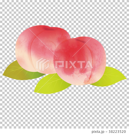 モモのイラスト｜桃の実　｜手描き風イラスト　墨絵 38223520